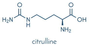 Schema moleculaire L-citrulline